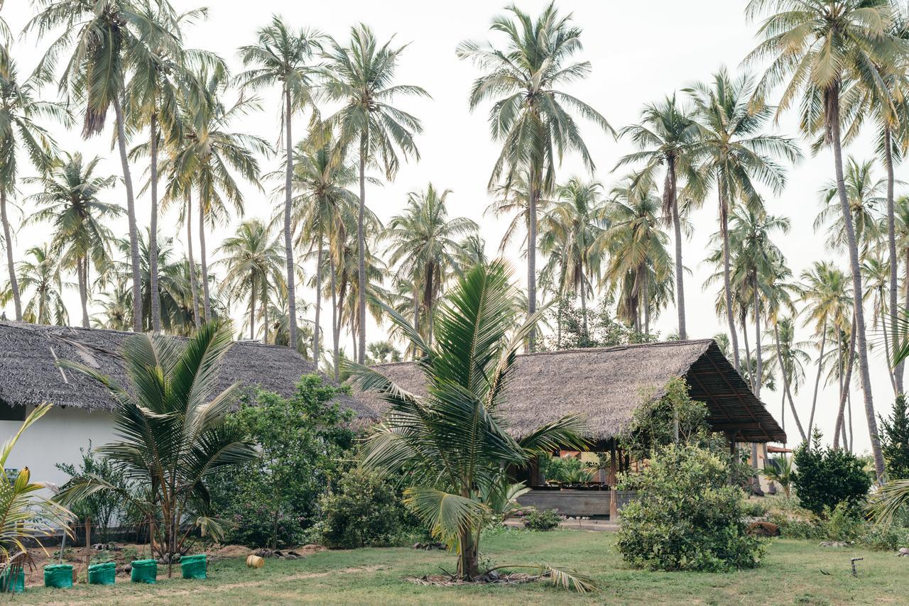 Luna Laguna Kalpitiya Extérieur photo